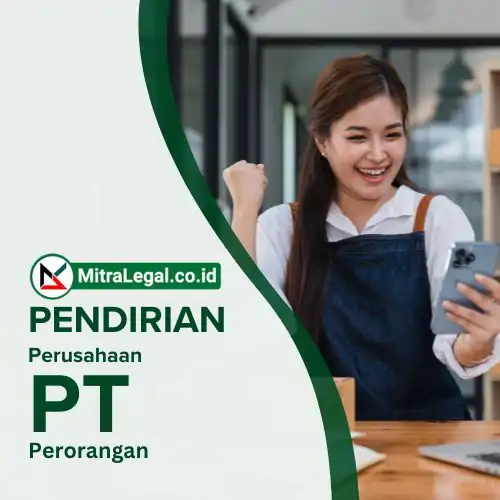 PT Perorangan
